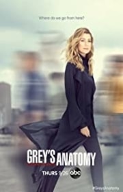 مسلسل Grey’s Anatomy مترجم الموسم السابع عشر